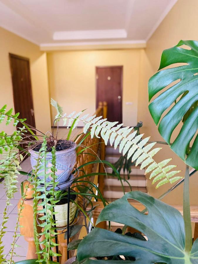 Apartments Umanʼ エクステリア 写真